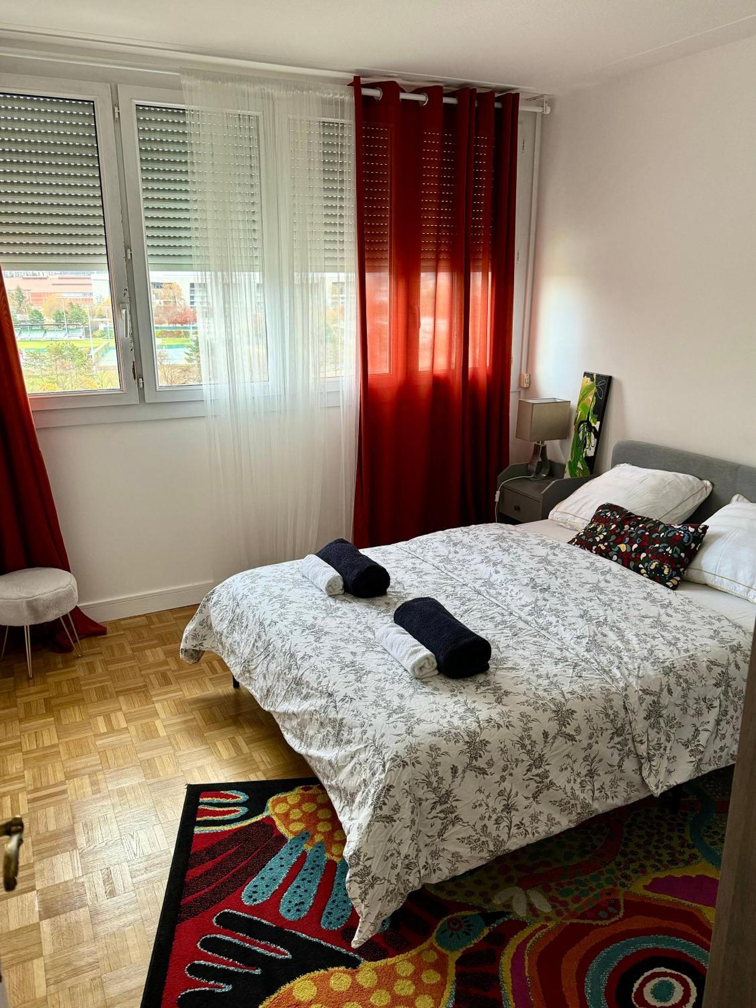 Bergson Top - Appart 80M2, 2 Grandes Chambres, Entierement Renovee Et Equipee, Lumineux, Wifi, Balcon, Calme, Vue Imprenable 圣艾蒂安 外观 照片